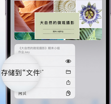 宁强apple维修中心分享iPhone文件应用中存储和找到下载文件