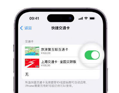 宁强apple维修点分享iPhone上更换Apple Pay快捷交通卡手绘卡面 