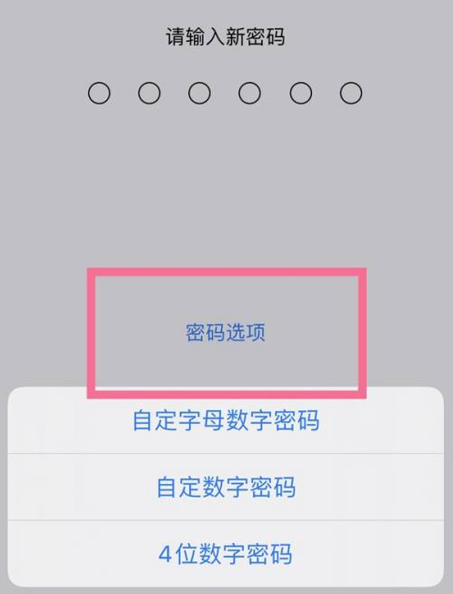 宁强苹果14维修分享iPhone 14plus设置密码的方法 