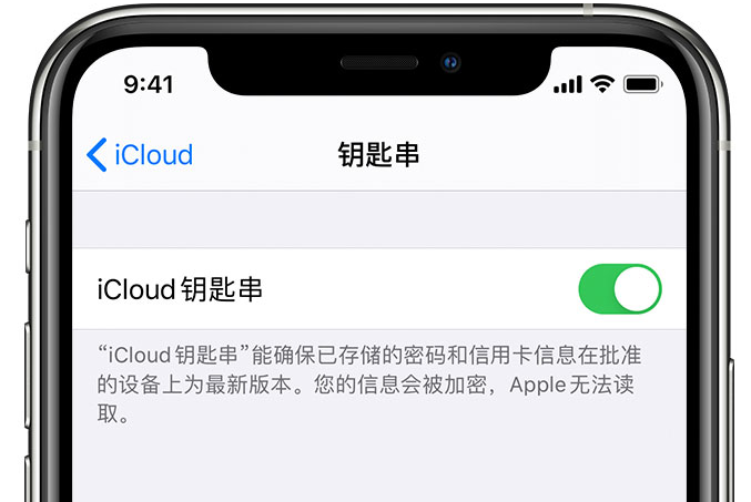 宁强苹果手机维修分享在 iPhone 上开启 iCloud 钥匙串之后会储存哪些信息 