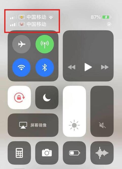 宁强苹果手机维修分享为 iPhone 12 双卡设置标签 