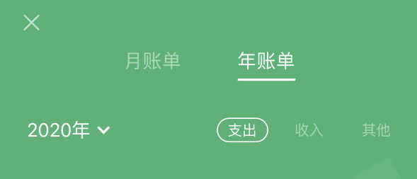 宁强苹果手机维修分享如何在 iPhone 上查看支付宝和微信年支出账单 